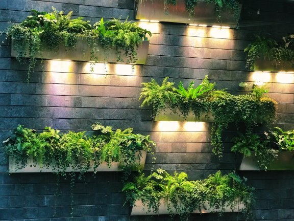 Plant wall at YOTELAIR Singapore Changi