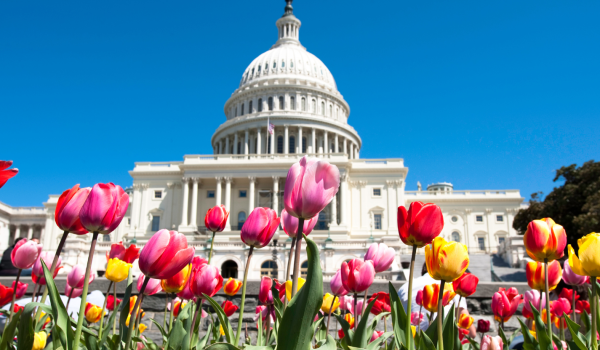 WDC Capitol Building